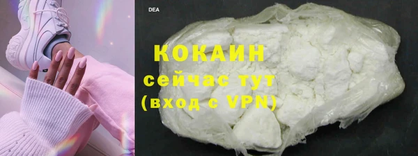 мяу мяу мука Алзамай
