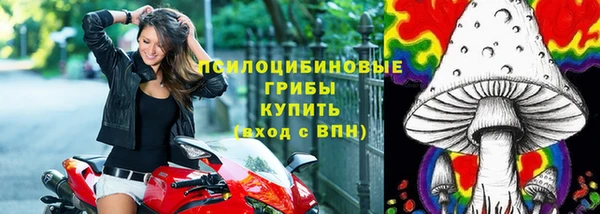 мяу мяу мука Алзамай